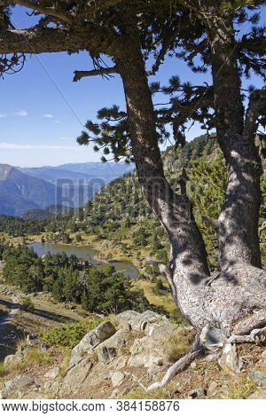 Lac Achard, A Wall-known Mountain Lake In Chamrousse Range