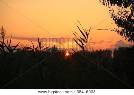 sunset