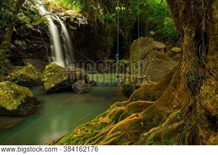 Tropical Landscape. Beautiful Hidden Waterfall In Rainforest. Tree With A Swing. Adventure Concept. 