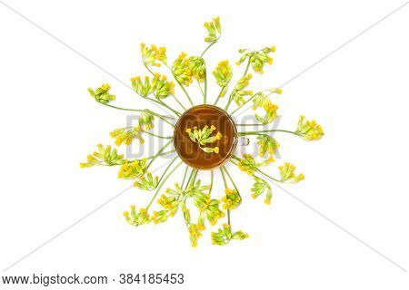 Top View Of A Cup Herbal Tea With Blooming Primula Veris (common Names:  Cowslip, Petrella, Herb Pet