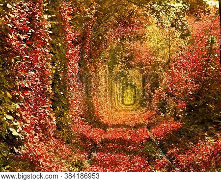 Railroad In Autumnal Forest Formed A Tunnel. Tunnel Of Love In Ukraine, Klevan