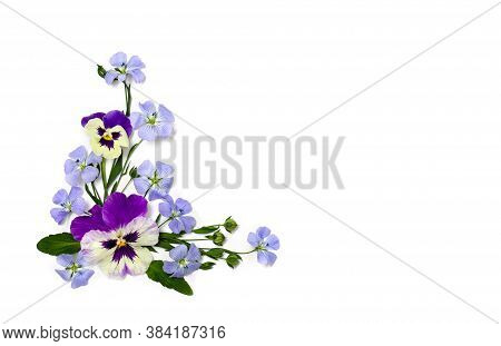 Violet Flowers Viola Tricolor, Blue Flowers Flax And Capsule With Seed Flax ( Linseed ) On A White B