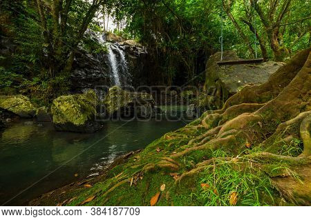 Tropical Landscape. Beautiful Hidden Waterfall In Rainforest. Tree With A Swing. Adventure Concept. 