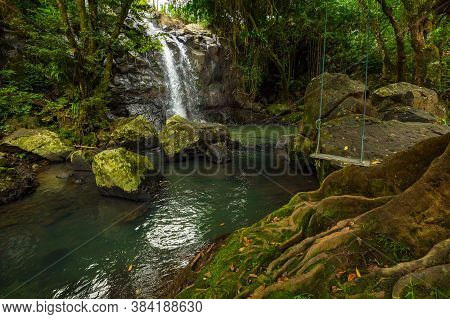 Tropical Landscape. Beautiful Hidden Waterfall In Rainforest. Tree With A Swing. Adventure Concept. 