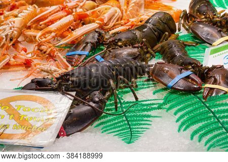 Barcelona, Spain - May 16, 2017: Sale Of The European Lobsters And Shrimps On The Famous La Boqueria