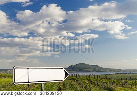 Spring vineyards under Palava near Sonberk, South Moravia, Czech Republic