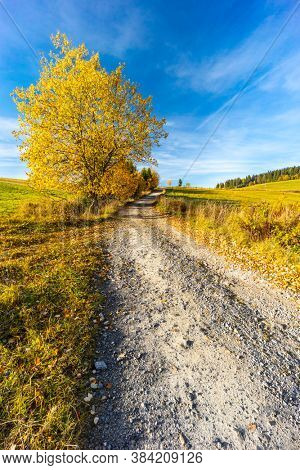 road with autumn tree near saddle Beskyd in Slovakia