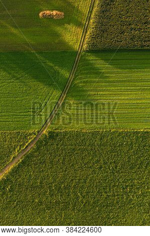 Areal View Of Crop Fields In Sunny Summer Day. Agriculture Concept