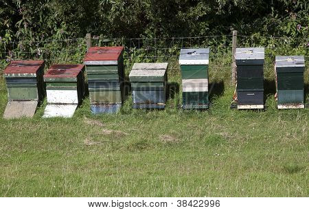 Beehives