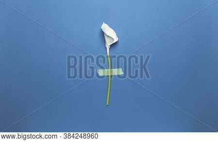 Calla Flower With Sticky Tape Isolated On Flat Lay Blue Background. Minimal Spring Wedding Or Birthd
