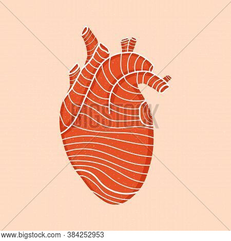 Vector Design Of Isolated Red Human Heart With Lines. The Concept Of Medicine. Heart Shape With Text