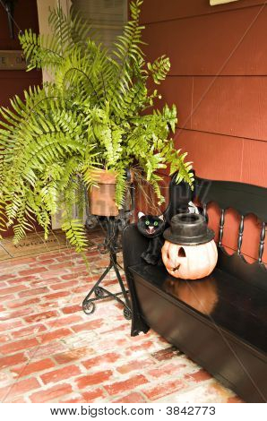 Banco con gato y calabaza decoración