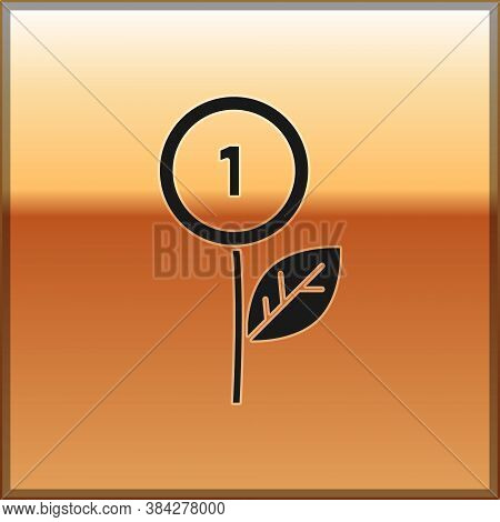 Black Dollar Plant Icon Isolated On Gold Background. Business Investment Growth Concept. Money Savin
