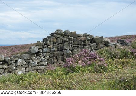 4 - Crumbling Dry Stone Wall Amongst The Heather In The Peak District. Overcast Cloudy Day And Soft 