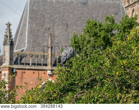 the city of zutphen in the netherlands