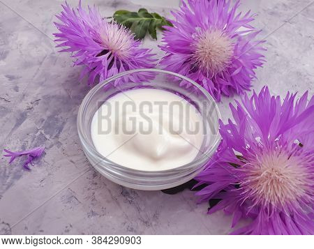 Cream Cosmetic Flower On Concrete Background Sample