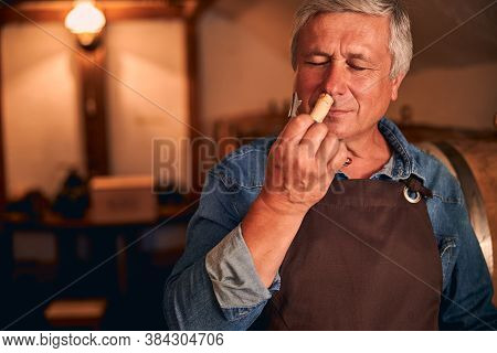 Handsome Winemaker Enjoying The Scent Of Wine Cork
