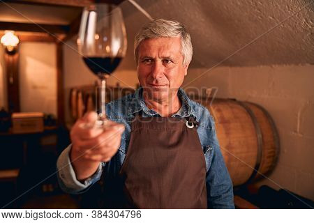 Good-looking Winemaker Holding Glass Of Red Wine