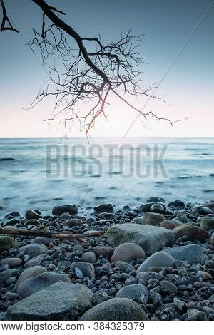 Stony Coast View With Fallen Trunk And Tree On Stony Beach. Silent Sunset With Calm Water Level Done