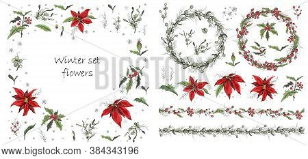 Set Of Winter Flowers, Branches And Leaves. Hand-drawn Botanical Doodling In A Realistic Style. Seam