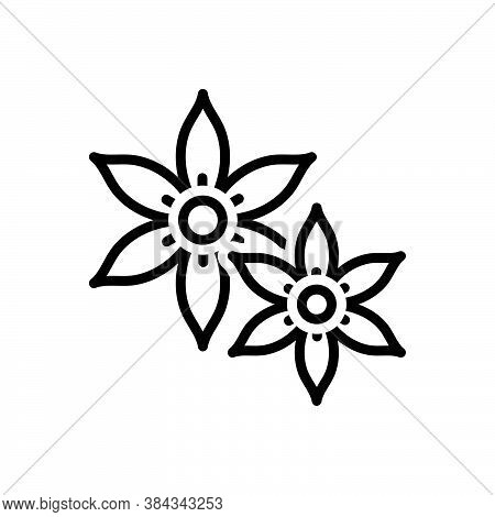 Black Line Icon For Jasmine Chameli Vines Liana Fragrance Summer Horticulture Decoration Natural Flo