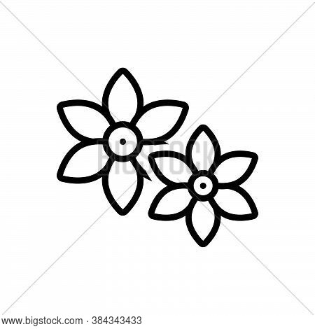 Black Line Icon For Motia Pikake Magnolia Heat-loving Burgeon Summer Gardenia Aromatherapy Horticult