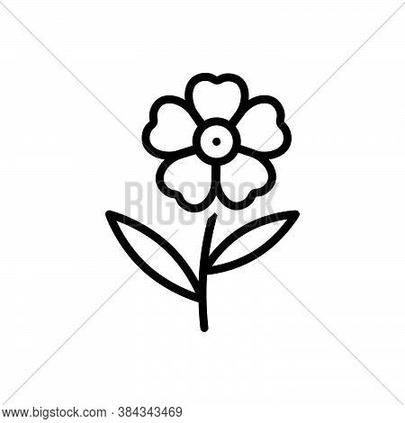 Black Line Icon For Oleander Nerium Geranium-flower Peony Orchid Petunia Blooming Natural Flower Bot