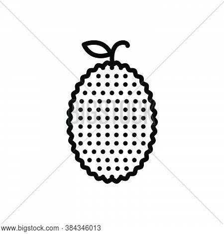 Black Line Icon For Jackfruit Jack-tree Mulberry Vegetable Agriculture Cultivation Plant Farming