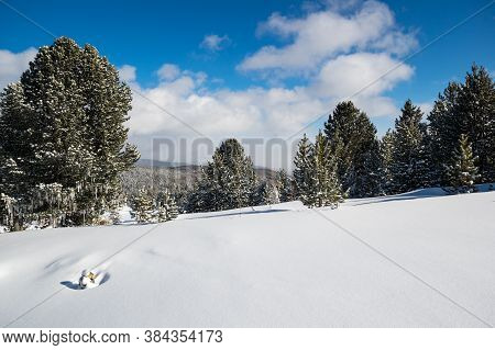 View Of Ulagan Highlands In Altay Mountains In The Winter, Siberia, Russia