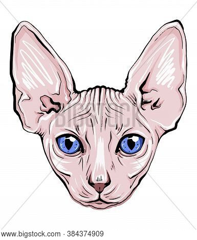 Colorful Portrait Of A Cat Muzzle. Cat Portrait Beautiful Eyes Minimalistic Graphic Illustration. Ha