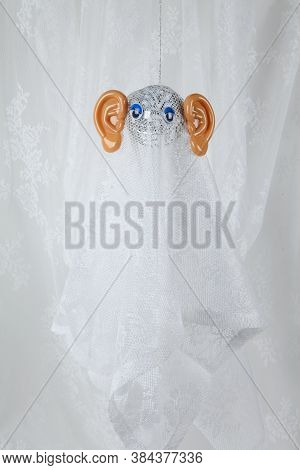 Ghost In Lace Curtain