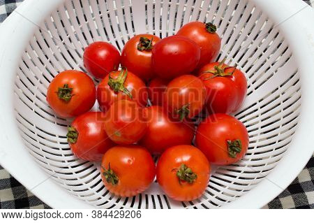 juicy red tomatoes in table cloth . caro background