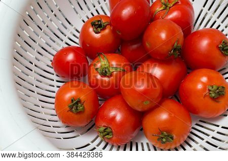 juicy red tomatoes in table cloth . caro background