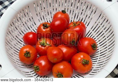 juicy red tomatoes in table cloth . caro background