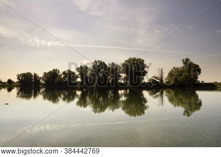 Trees Reflecting In A Large Pond In The Floodplain Of The River Waal Near The Village Echteld