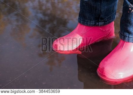 Legs Of Child In Rainboots Standing In Puddle.kids In Fall. Close-up Of A Baby Girls Legs With Pink 