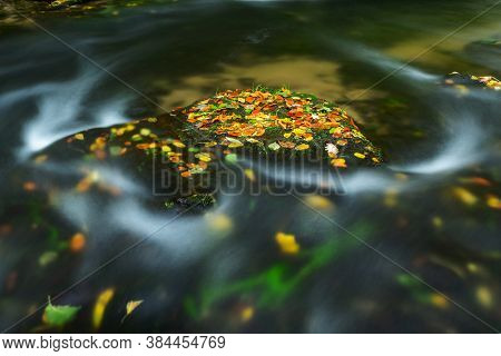 Mountain River With Low Level Of Water, Stones With Colorful Beech, Aspen And Maple Leaves.