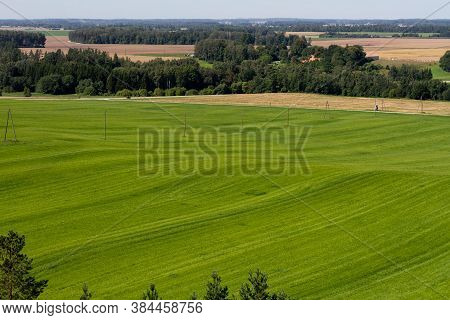 Green Grass Field With Electricity Line And Forests Behind