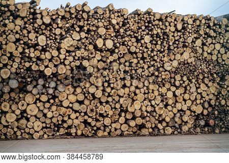 High Logs Ridge In Port Waiting To Be Shipped