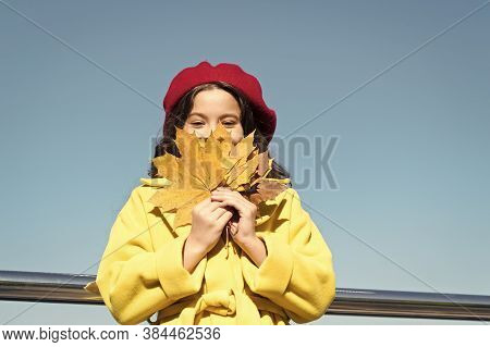 Clear Sky And Good Weather. Inspiring Fall. Ideas For Autumn Leisure. Little Girl Adore Autumn Seaso