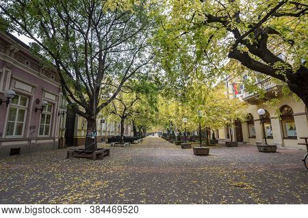 Pancevo, Serbia - October 29, 2016: Vojvode Zivojina Misica Street, A Pedestrian Street Of The Cente