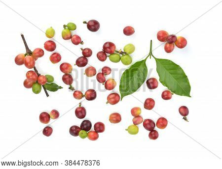 Top View Of Coffee Beans And Coffee Leves Isolated On White Background