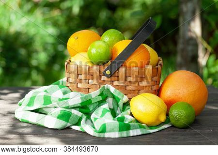 Variuos citrus fruits in basket on garden table. Oranges, lemons, limes and grapefruit