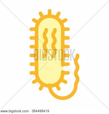 Vibrio Cholerae Color Icon Vector Isolated Illustration