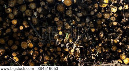 A Stack Of Logs In The Backyard Background With Logs