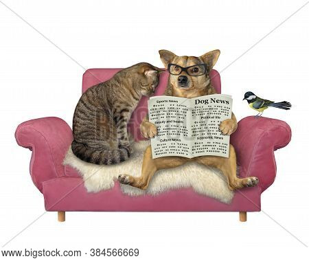 A Beige Dog In Glasses Is Reading A Newspaper. He With A Cat And A Bird Are On A Pink Couch. White B