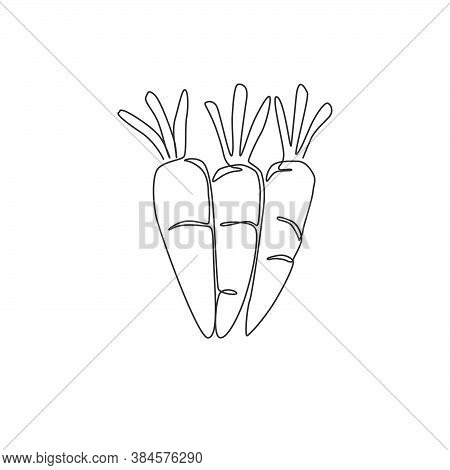 One Single Line Drawing Whole Healthy Organic Carrots Pile For Farm Logo Identity. Fresh Biennial Pl