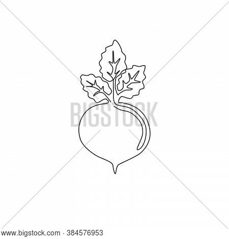 One Continuous Line Drawing Whole Healthy Organic Beetroot For Plantation Logo Identity. Fresh Garde