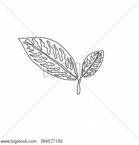 One Continuous Line Drawing Of Cute Tropical Leaves Aglaonema Plant. Printable Decorative Houseplant
