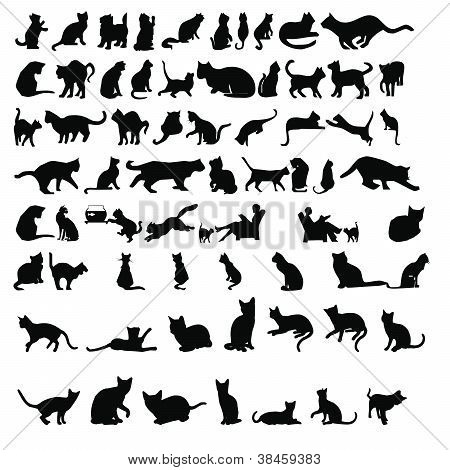 Katze-Silhouetten